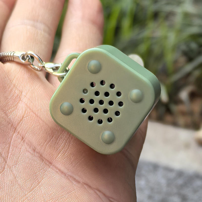 Creative Frog Sound & Light Keychain – Stress Relief Gadget